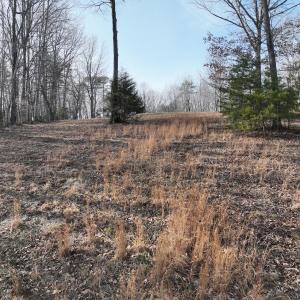 Photo #61 of Off Yorkshire Drive, Sandy Level, VA 20.0 acres
