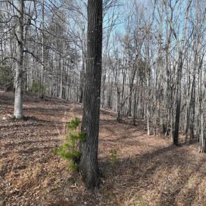 Photo #62 of Off Yorkshire Drive, Sandy Level, VA 20.0 acres