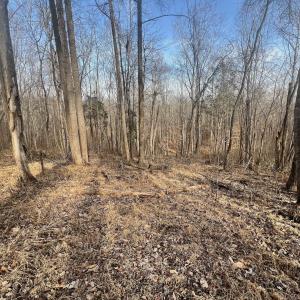Photo #66 of Off Yorkshire Drive, Sandy Level, VA 20.0 acres