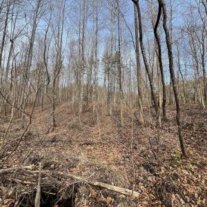 Photo #68 of Off Yorkshire Drive, Sandy Level, VA 20.0 acres
