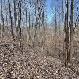 Photo #69 of Off Yorkshire Drive, Sandy Level, VA 20.0 acres