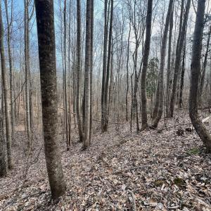 Photo #72 of Off Yorkshire Drive, Sandy Level, VA 20.0 acres