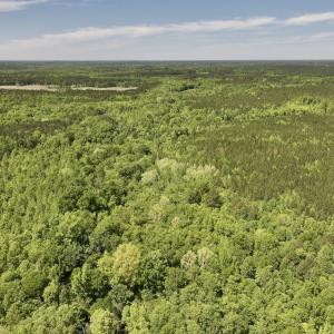 Photo #10 of Off Briston Brown Road, Littleton, NC 18.8 acres