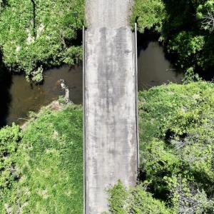 Photo #12 of Off Briston Brown Road, Littleton, NC 18.8 acres