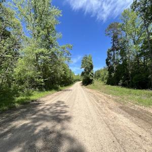 Photo #15 of Off Briston Brown Road, Littleton, NC 18.8 acres