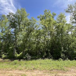 Photo #16 of Off Briston Brown Road, Littleton, NC 18.8 acres