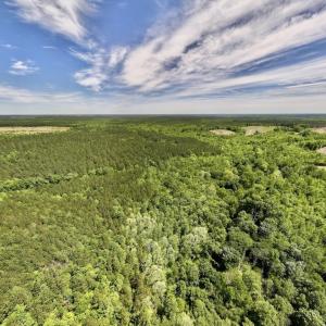 Photo #1 of Off Briston Brown Road, Littleton, NC 18.8 acres