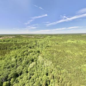 Photo #2 of Off Briston Brown Road, Littleton, NC 18.8 acres