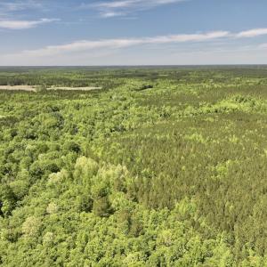 Photo #24 of Off Briston Brown Road, Littleton, NC 18.8 acres