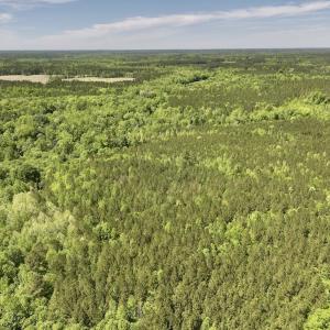 Photo #25 of Off Briston Brown Road, Littleton, NC 18.8 acres