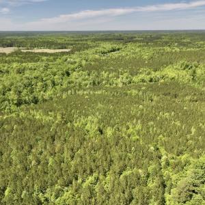 Photo #26 of Off Briston Brown Road, Littleton, NC 18.8 acres