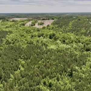 Photo #29 of Off Briston Brown Road, Littleton, NC 18.8 acres