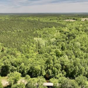 Photo #3 of Off Briston Brown Road, Littleton, NC 18.8 acres