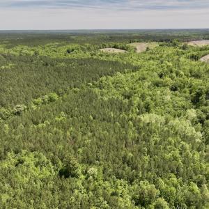 Photo #31 of Off Briston Brown Road, Littleton, NC 18.8 acres