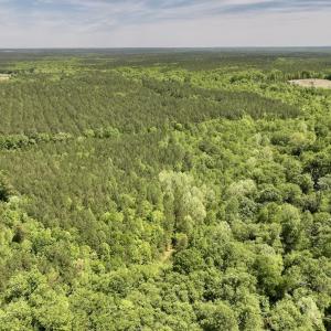 Photo #32 of Off Briston Brown Road, Littleton, NC 18.8 acres
