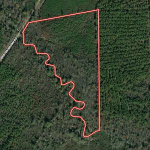 Photo #34 of Off Briston Brown Road, Littleton, NC 18.8 acres