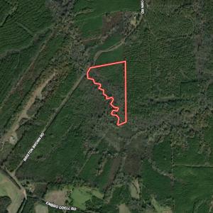 Photo #35 of Off Briston Brown Road, Littleton, NC 18.8 acres