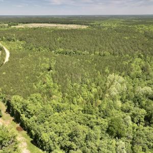Photo #5 of Off Briston Brown Road, Littleton, NC 18.8 acres
