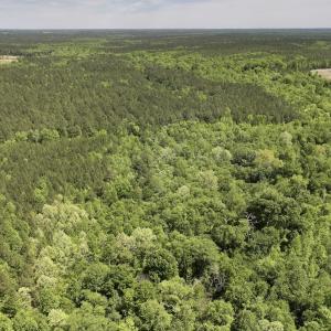 Photo #6 of Off Briston Brown Road, Littleton, NC 18.8 acres