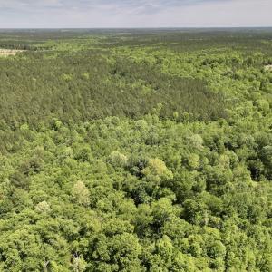 Photo #7 of Off Briston Brown Road, Littleton, NC 18.8 acres