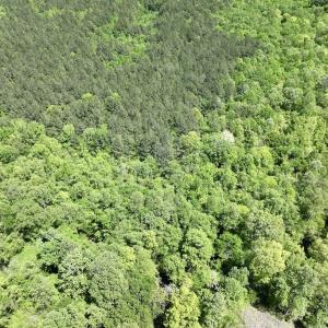 Photo #8 of Off Briston Brown Road, Littleton, NC 18.8 acres