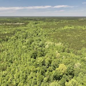 Photo #9 of Off Briston Brown Road, Littleton, NC 18.8 acres