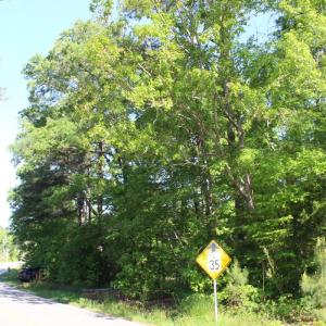 Photo #10 of Off Medoc Mountain Road, Hollister, NC 2.6 acres