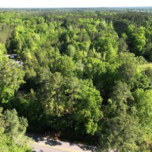 Photo #7 of Off Medoc Mountain Road, Hollister, NC 2.6 acres