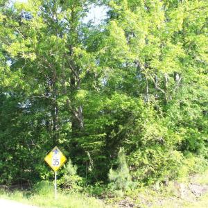 Photo #8 of Off Medoc Mountain Road, Hollister, NC 2.6 acres