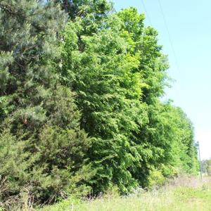 Photo #16 of Off Sims Bridge Road, Kittrell, NC 1.4 acres