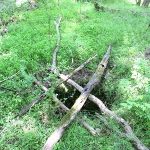 Photo #26 of Off Sims Bridge Road, Kittrell, NC 1.4 acres