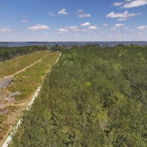 Photo #14 of Off Holly Oak Drive, Blounts Creek, NC 3.7 acres