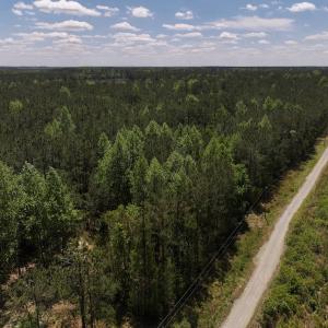 Photo #17 of Off Holly Oak Drive, Blounts Creek, NC 3.7 acres