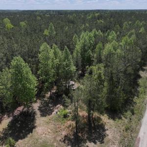 Photo #19 of Off Holly Oak Drive, Blounts Creek, NC 3.7 acres