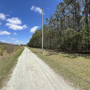 Photo #26 of Off Holly Oak Drive, Blounts Creek, NC 3.7 acres