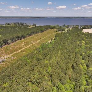 Photo #4 of Off Holly Oak Drive, Blounts Creek, NC 3.7 acres