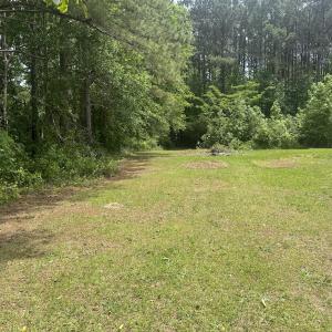 Photo #13 of 2692 Pleasant Hope Rd, Fairmont, NC 5.0 acres