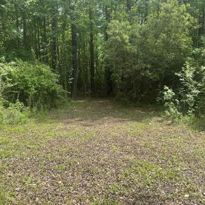 Photo #14 of 2692 Pleasant Hope Rd, Fairmont, NC 5.0 acres