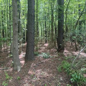 Photo #15 of 2692 Pleasant Hope Rd, Fairmont, NC 5.0 acres