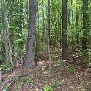 Photo #16 of 2692 Pleasant Hope Rd, Fairmont, NC 5.0 acres