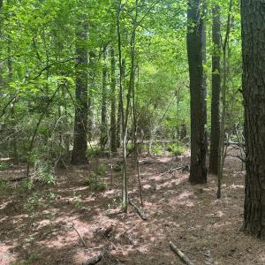 Photo #19 of 2692 Pleasant Hope Rd, Fairmont, NC 5.0 acres