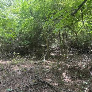 Photo #21 of 2692 Pleasant Hope Rd, Fairmont, NC 5.0 acres