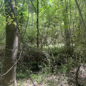 Photo #22 of 2692 Pleasant Hope Rd, Fairmont, NC 5.0 acres