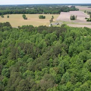 Photo #4 of 2692 Pleasant Hope Rd, Fairmont, NC 5.0 acres