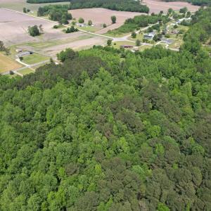 Photo #6 of 2692 Pleasant Hope Rd, Fairmont, NC 5.0 acres