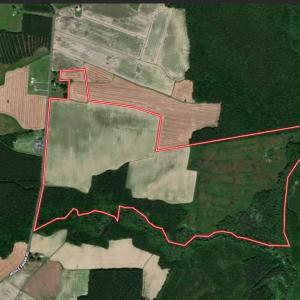 Photo #46 of Off Middle Swamp Rd, Corapeake, NC 234.4 acres