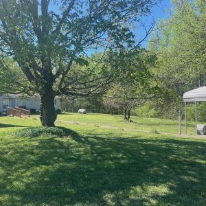Photo #13 of 900 Buffalo Creek Rd, Buffalo Junction, VA 29.0 acres