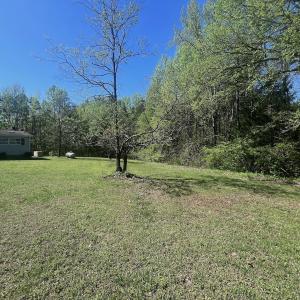 Photo #14 of 900 Buffalo Creek Rd, Buffalo Junction, VA 29.0 acres