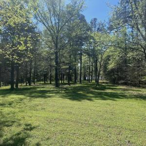 Photo #18 of 900 Buffalo Creek Rd, Buffalo Junction, VA 29.0 acres