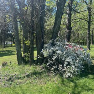 Photo #23 of 900 Buffalo Creek Rd, Buffalo Junction, VA 29.0 acres